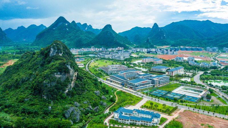 电子代工代理加盟：揭秘其背后的机遇与挑战