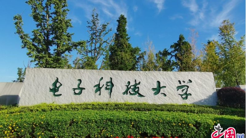 上海芯片设计公司分类解析：如何选择合适的设计方案